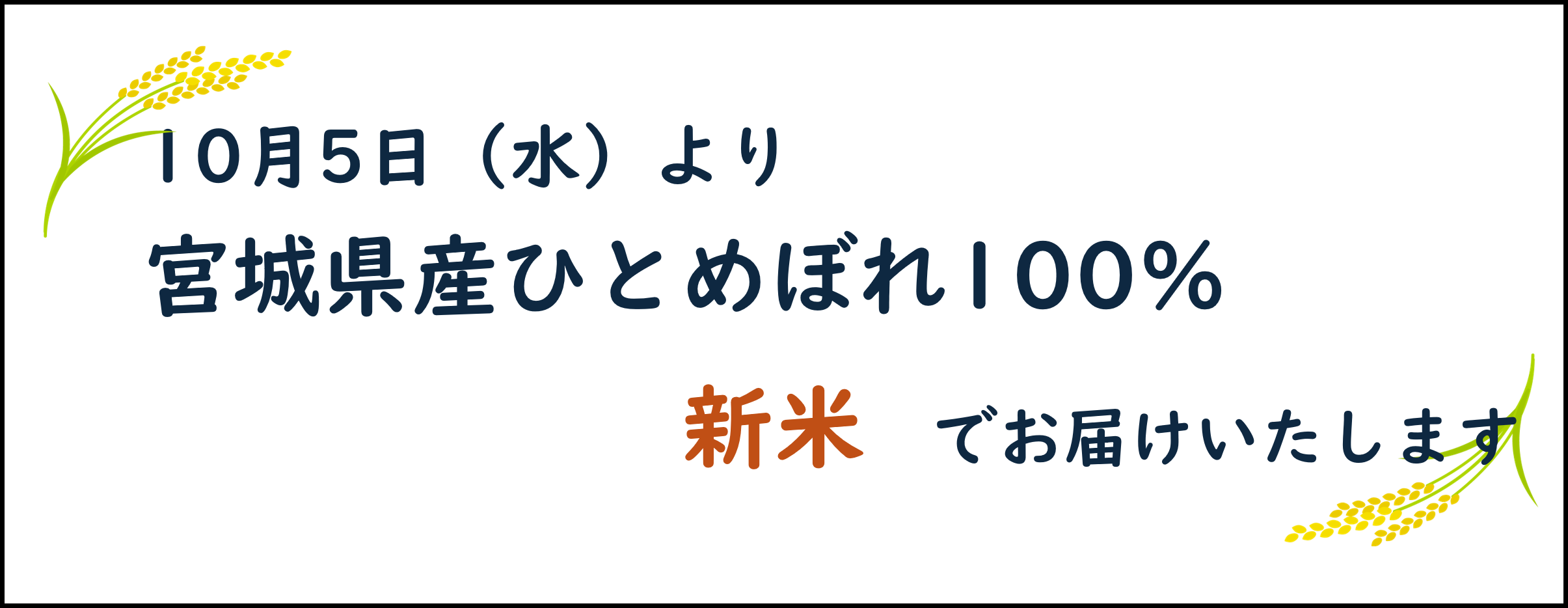 本日のお知らせ